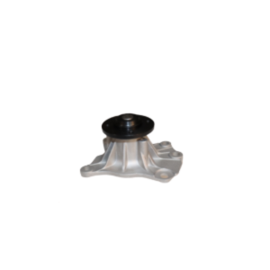 Bomba-de-Agua-BYD-FO-300x300
