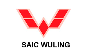 SaicW